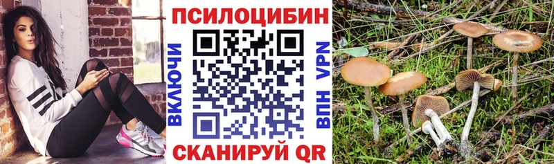 цены   Тюкалинск  Псилоцибиновые грибы мицелий 